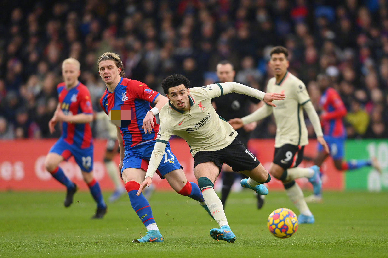 年龄与健康 年龄与健康